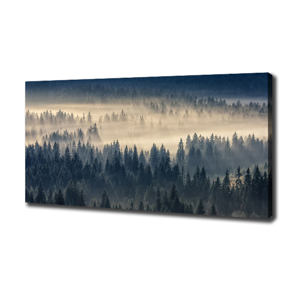 Bild auf leinwand Nebel über dem Wald