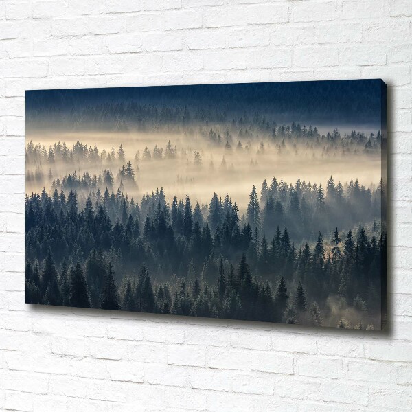 Bild auf leinwand Nebel über dem Wald