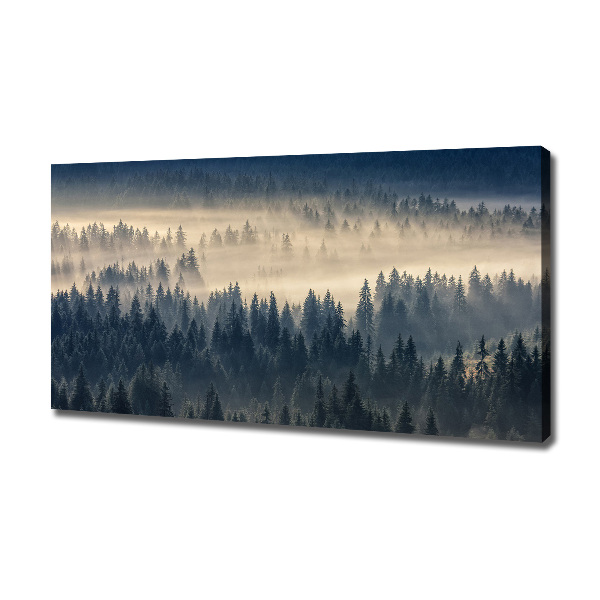 Bild auf leinwand Nebel über dem Wald
