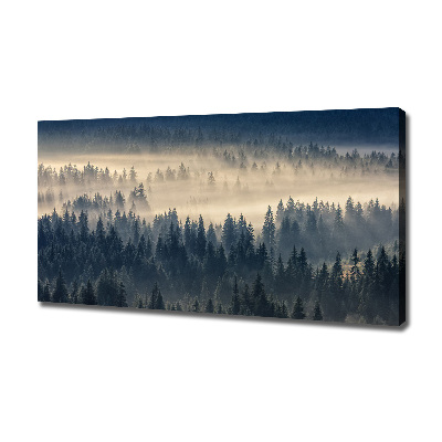 Bild auf leinwand Nebel über dem Wald