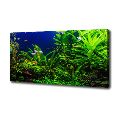 Wandbild Fische im Aquarium