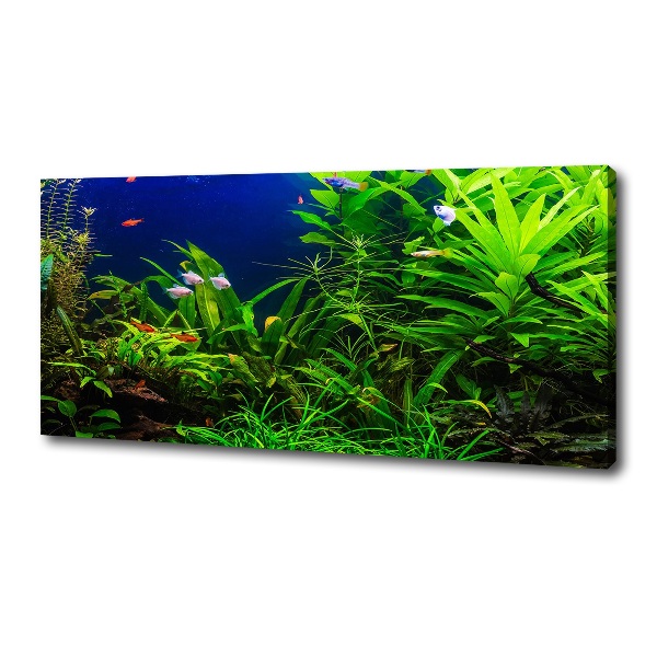 Wandbild Fische im Aquarium
