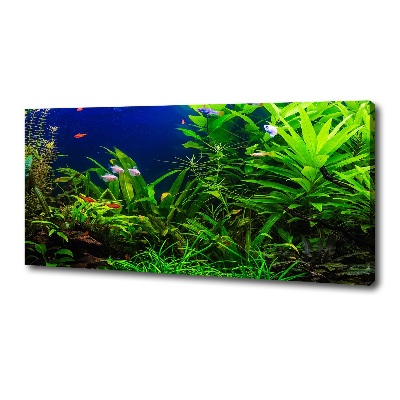 Wandbild Fische im Aquarium