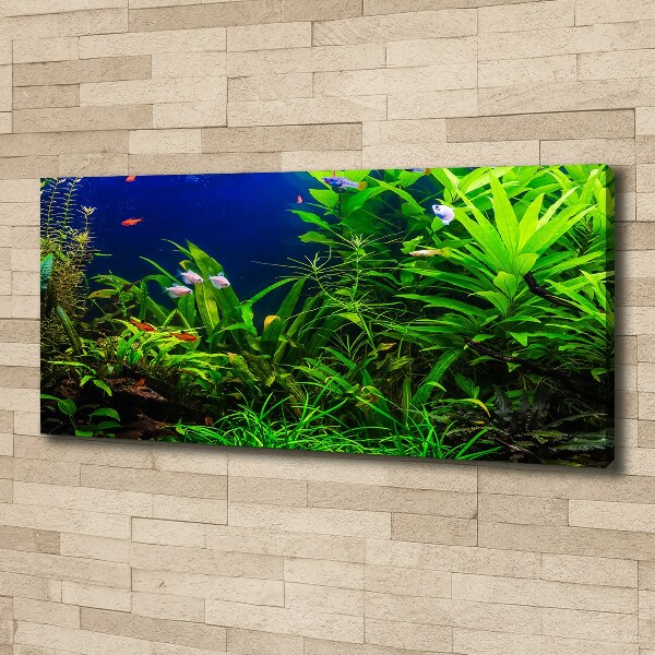 Wandbild Fische im Aquarium