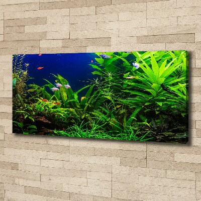 Wandbild Fische im Aquarium