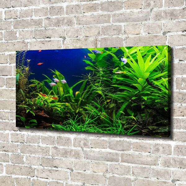 Wandbild Fische im Aquarium