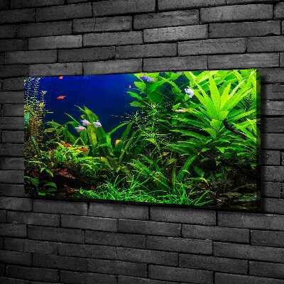 Wandbild Fische im Aquarium