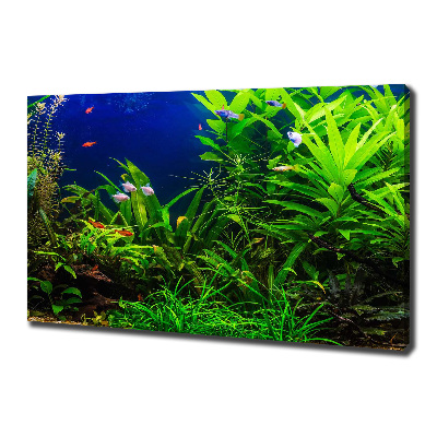 Wandbild Fische im Aquarium