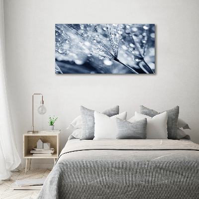 Fotobild Löwenzahnsamen