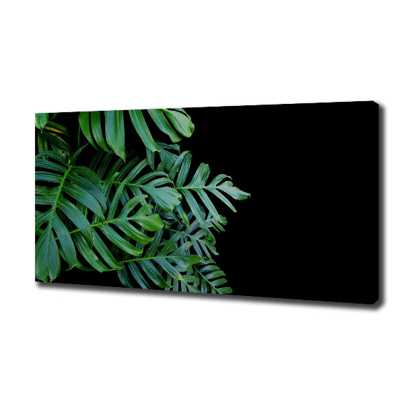 Wandbild Monstera