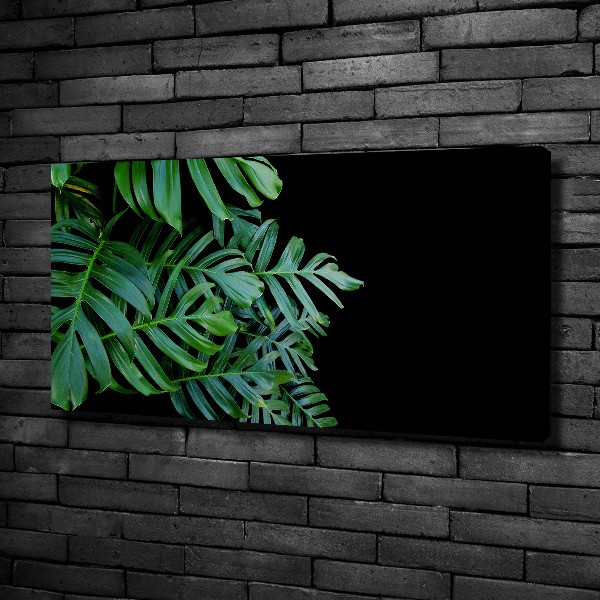 Wandbild Monstera