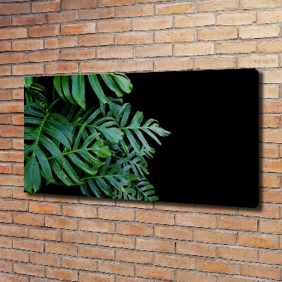 Wandbild Monstera