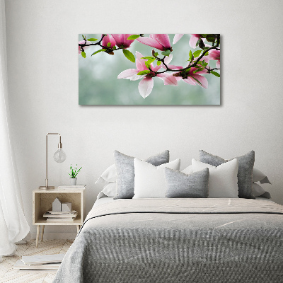 Fotobild Magnolie