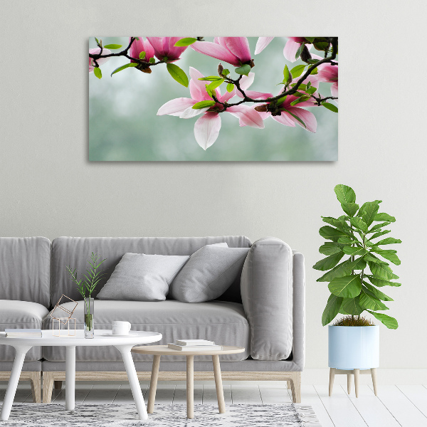 Fotobild Magnolie