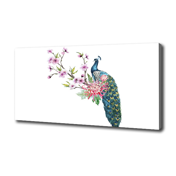 Fotobild Pfau und Blumen