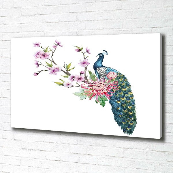 Fotobild Pfau und Blumen
