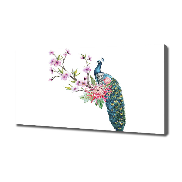Fotobild Pfau und Blumen