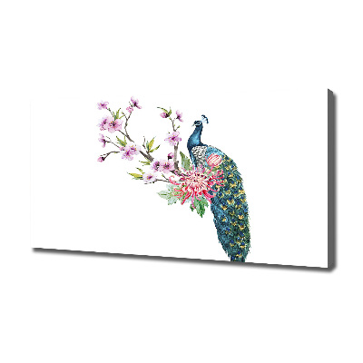Fotobild Pfau und Blumen