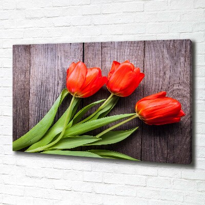 Bild auf leinwand Rote Tulpen