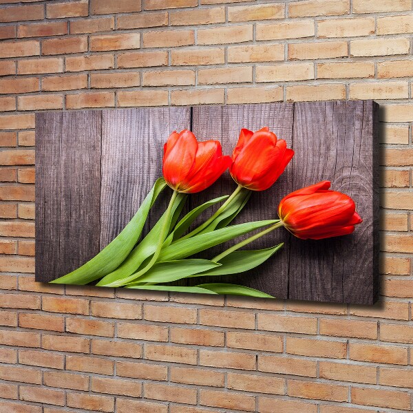 Bild auf leinwand Rote Tulpen