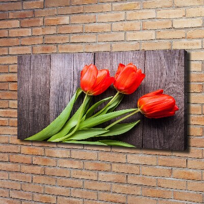 Bild auf leinwand Rote Tulpen
