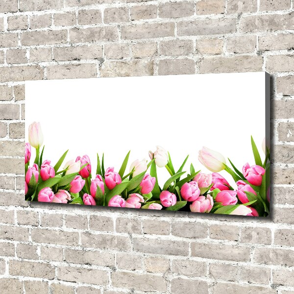 Wandbild Rosa Tulpen