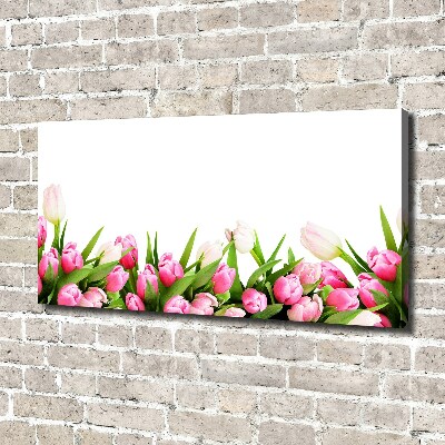 Wandbild Rosa Tulpen