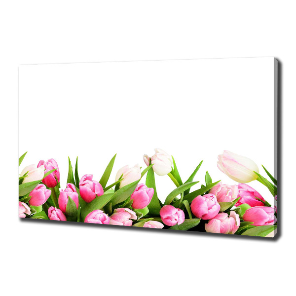 Wandbild Rosa Tulpen