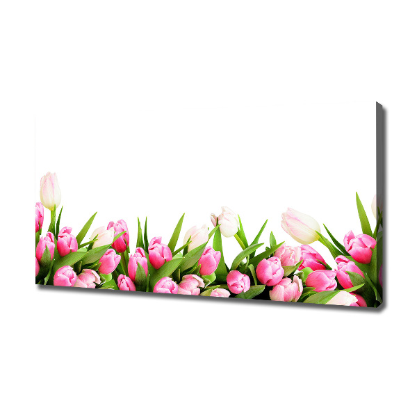 Wandbild Rosa Tulpen