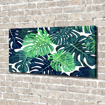 Fotobild Tropische Blätter