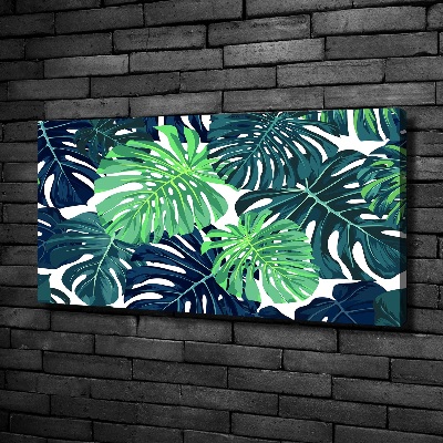 Fotobild Tropische Blätter