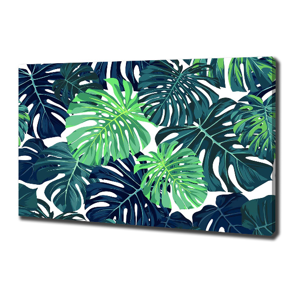 Fotobild Tropische Blätter