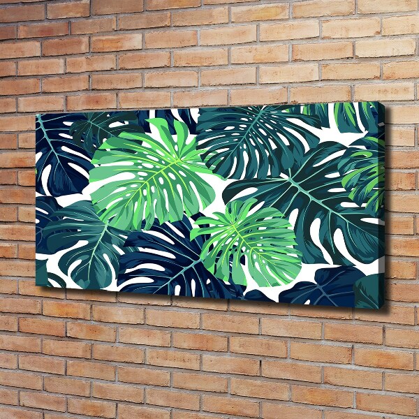 Fotobild Tropische Blätter