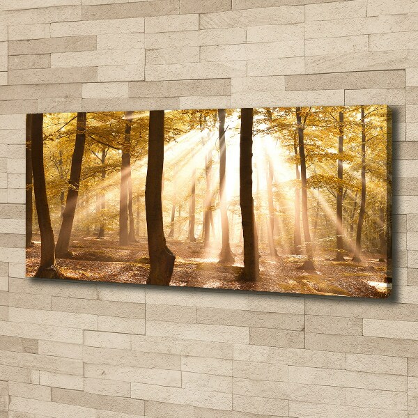 Bild auf leinwand Wald im Herbst