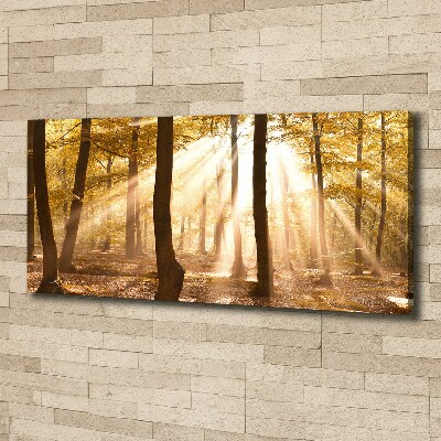 Bild auf leinwand Wald im Herbst