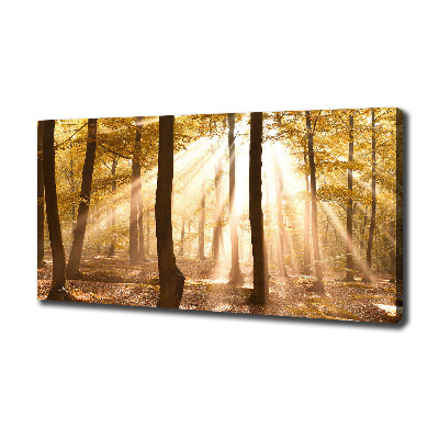Bild auf leinwand Wald im Herbst