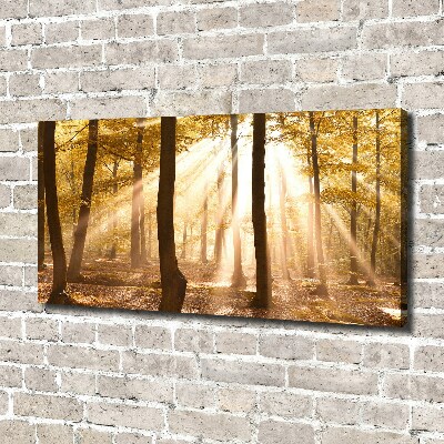 Bild auf leinwand Wald im Herbst
