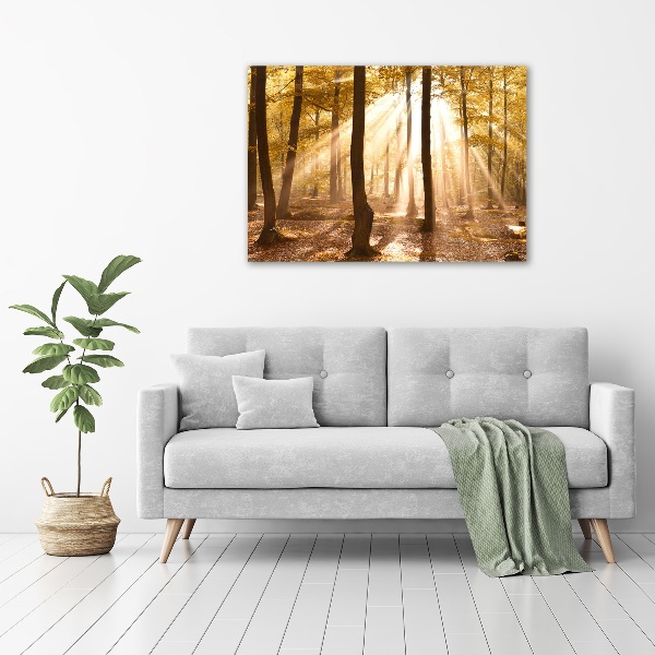 Bild auf leinwand Wald im Herbst
