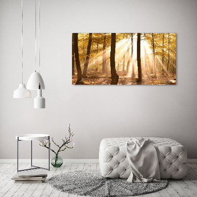 Bild auf leinwand Wald im Herbst