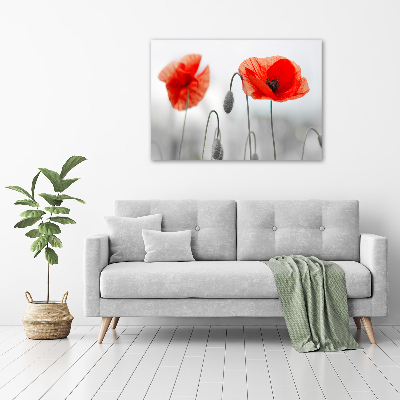 Wandbild Mohnblumen