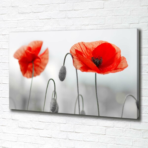 Wandbild Mohnblumen