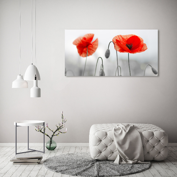 Wandbild Mohnblumen