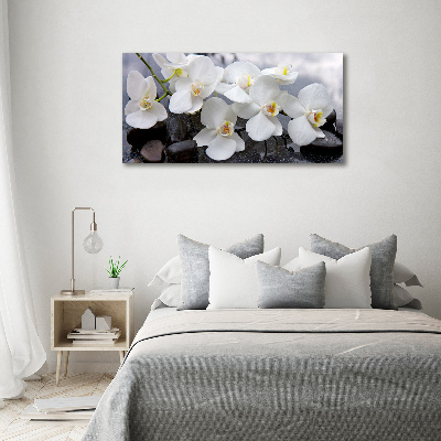 Bild auf leinwand Orchidee