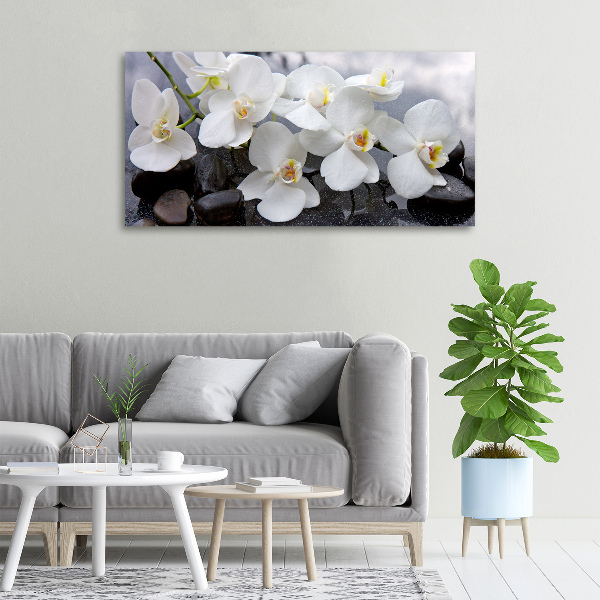 Bild auf leinwand Orchidee