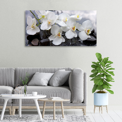 Bild auf leinwand Orchidee