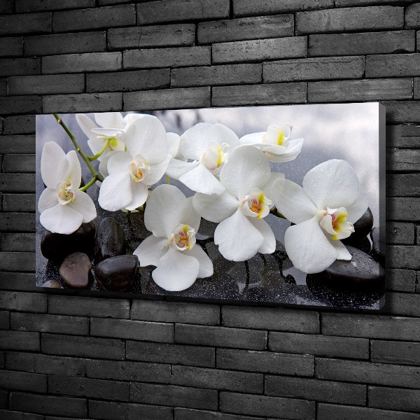 Bild auf leinwand Orchidee