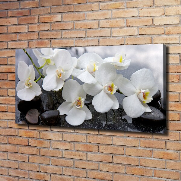 Bild auf leinwand Orchidee