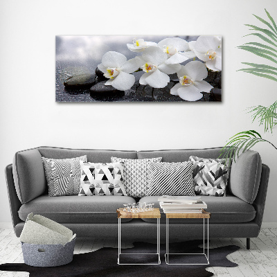 Fotobild Orchidee