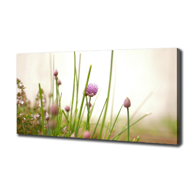 Bild auf leinwand Schnittlauch