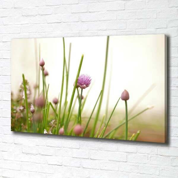 Bild auf leinwand Schnittlauch